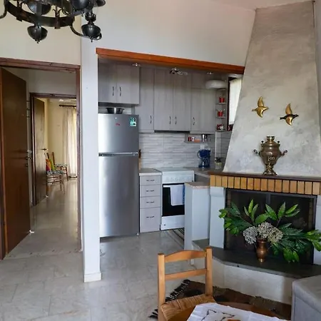 公寓 Cozy Pelion House-on The Main Road Of Mourésion