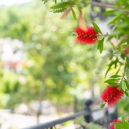 Cozy Pelion House-on The Main Road Of 아파트 Mourésion